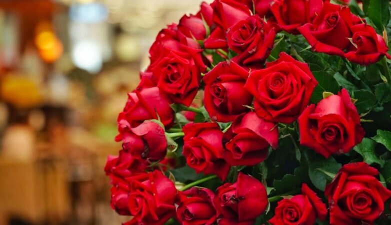 Букет, розы, праздник, 14 февраля