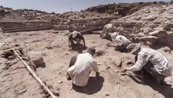 Найден новый вид древнего человека