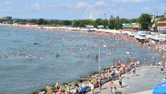 Дикий кабан искупался в море и попал на видео