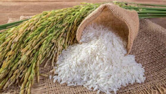 Ученые выявили зерновые продукты, повышающие риск смерти