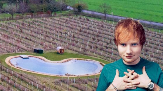 Эд Ширан и бдительные соседи не поделили пруд