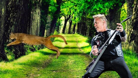 Metallica спасла канадку от пумы Metallica спасла канадку от пумы