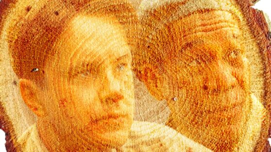 У Лукоморья дуб спилили, или Из Шоушенка ещё никто не убегал