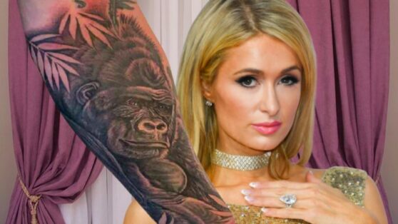 Пэрис Хилтон — еще одна жертва телеведущего Леттермана