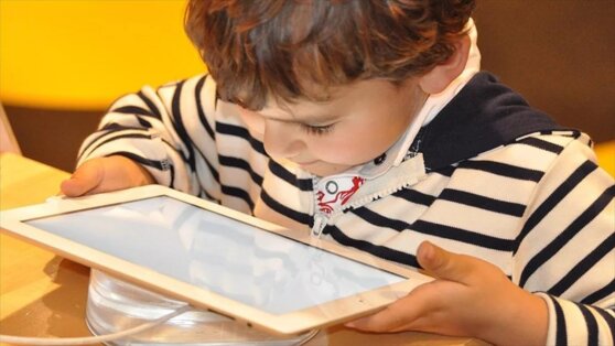 Шестилетний американец потратил на игру для iPad 16 000 долларов Шестилетний американец потратил на игру для iPad 16 000 долларов