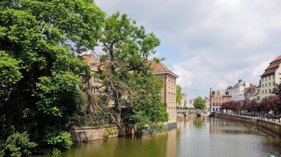 Власти Бельгии извинились за казни «ведьм» в Средневековье