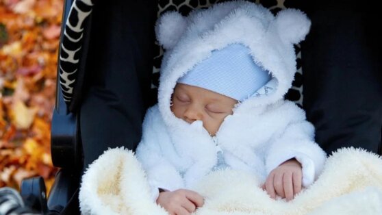 Похитителей младенца задержали в Подмосковье