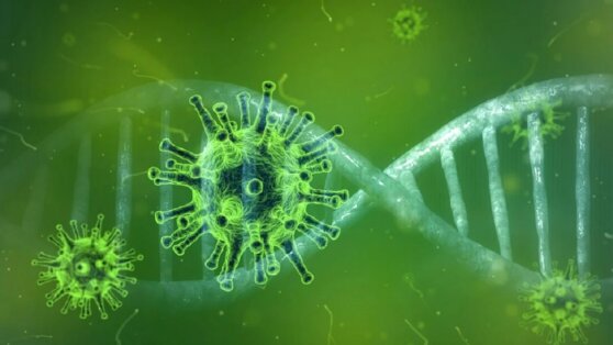 Ученые нашли способ предотвратить осложнение при коронавирусе