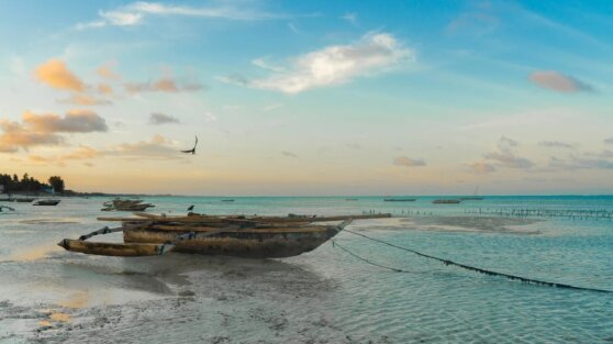 Россиянин поехал в отпуск на необитаемый остров и бесследно исчез