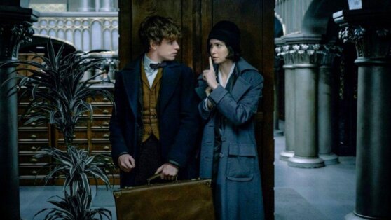 Съемки «Фантастических тварей 3» остановлены из-за COVID-19