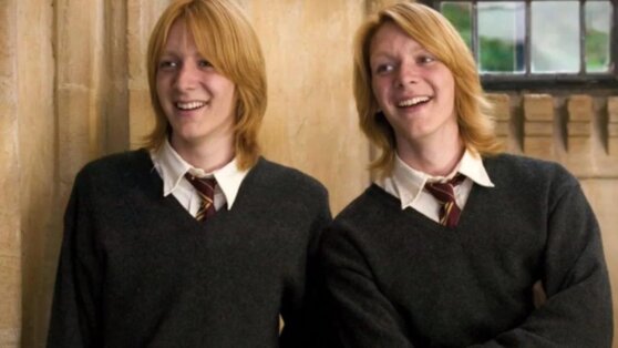 Близнецы из поттерианы просили распределить роли между ними