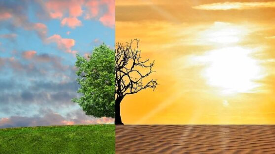 Ученые обратились к человечеству в связи с чрезвычайной ситуацией