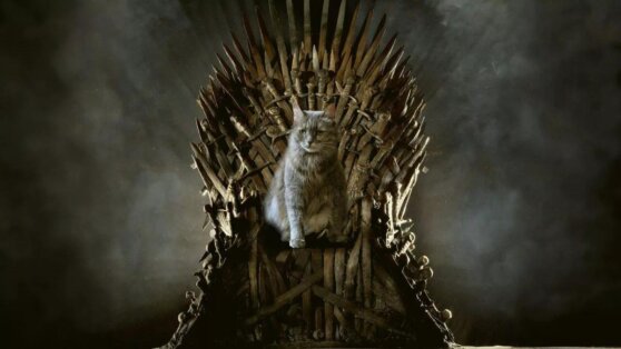 Сериал «Игра престолов» расширили еще на три спин-оффа