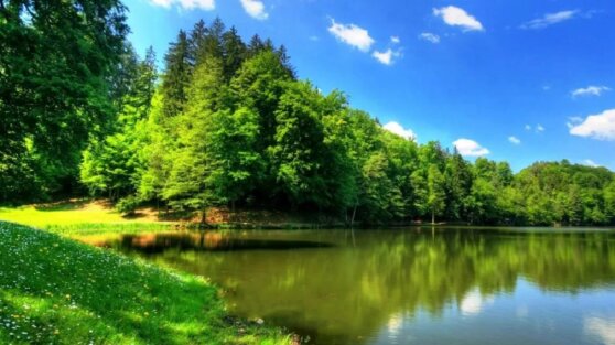 Ученые выяснили, когда лето в Северном полушарии будет длиться полгода