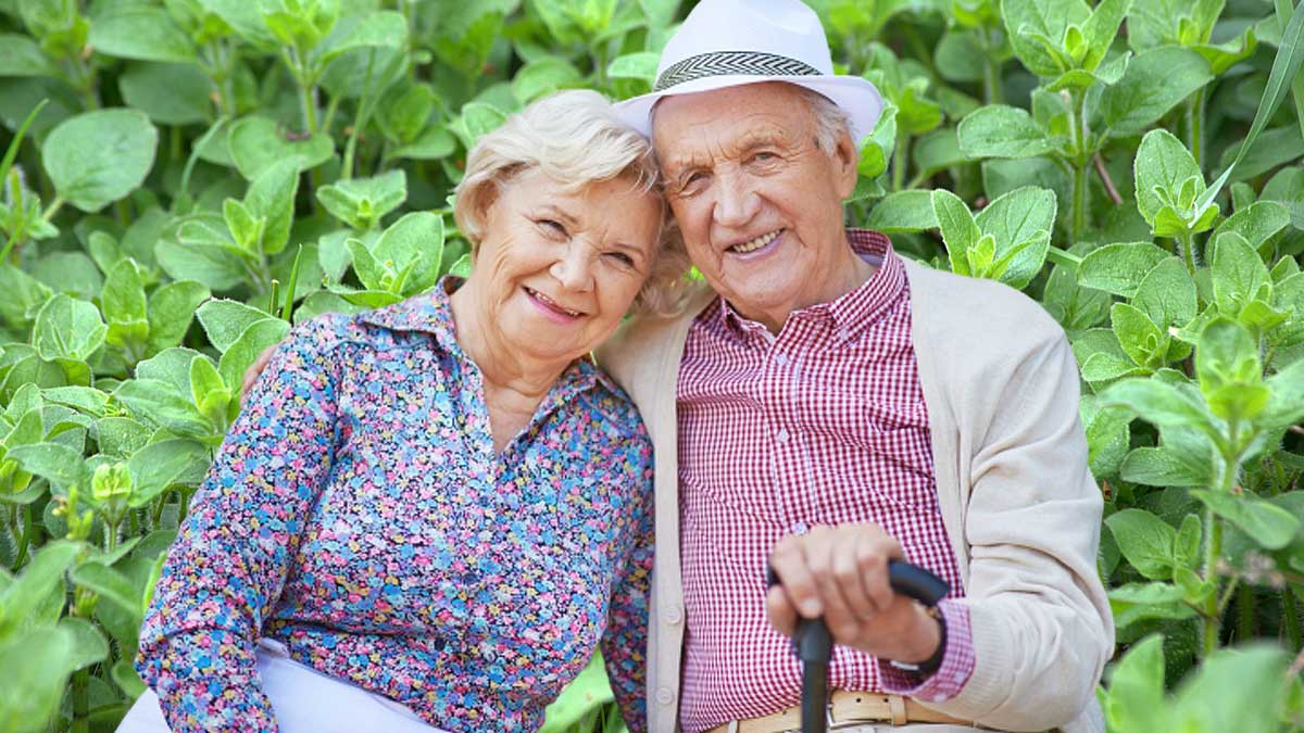 пожилая пара улыбаются обнимаются свежий орегано в саду