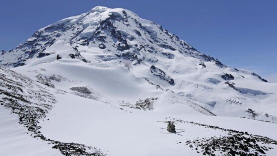 В Швейцарии кошка с туристами поднялась на вершину горы