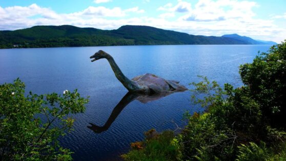 Шотландка обнаружила на пляже гигантский скелет