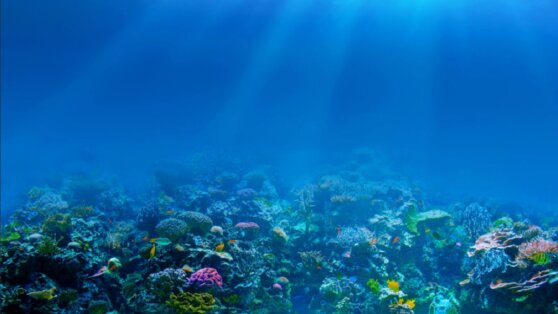 Установлены предшественники живых организмов на Земле