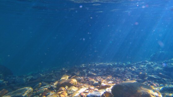 Симулятор показал, каково это – утонуть