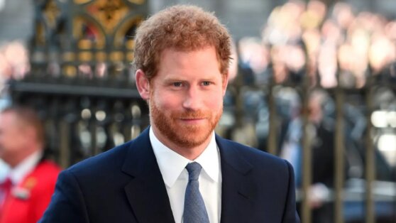 Принц Гарри хочет вернуть себе полицейскую охрану через суд