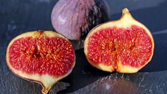 Российские ученые обнаружили в инжире заменяющее антибиотики вещество