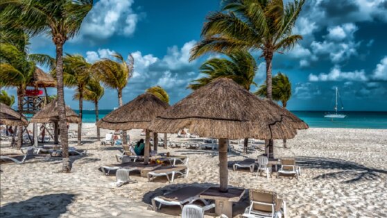 Крокодил напал на ребенка в зоне популярного курорта