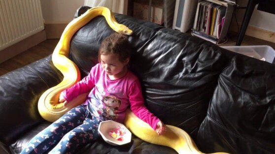 Россиянка обнаружила в своей квартире двух питонов