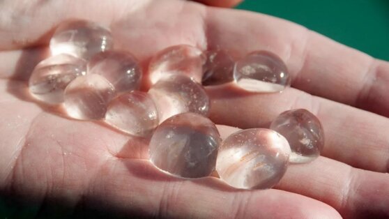 Из моря выбросило на пляж тысячи живых прозрачных шариков