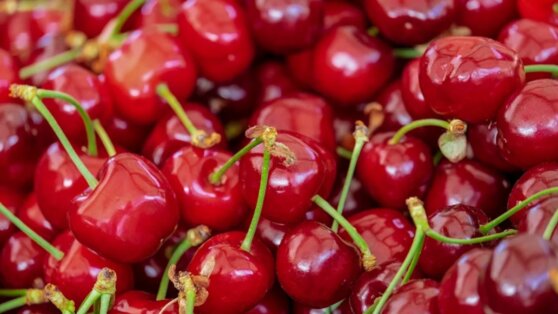 Сколько черешни можно съесть в сутки