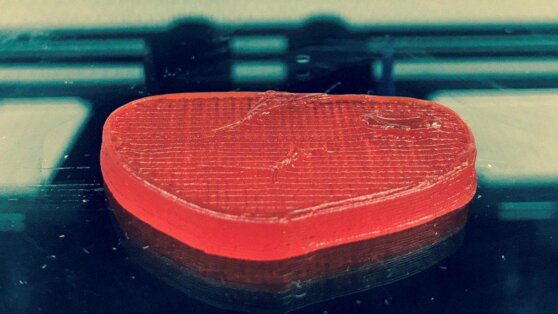 Испанский стартап печатает на 3D-принтере вегетарианские стейки Испанский стартап печатает на 3D-принтере вегетарианские стейки