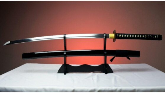 Американский подросток прогнал грабителя самурайским мечом