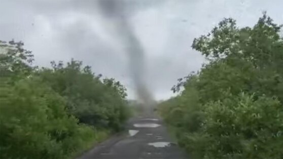Жители Камчатки сняли на видео комариные смерчи