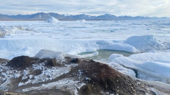 В WWF предсказали холодный 2022 год по всей Земле