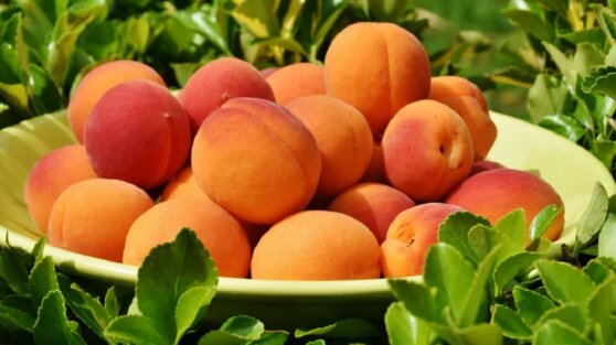 Агроном объяснил, как выбрать вкусные персики