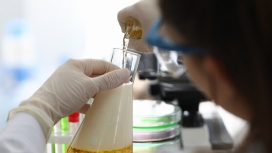 Немецкие химики нашли в пиве более 100 000 уникальных веществ, неизвестных науке