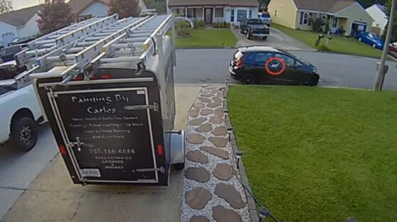 Рыба упала с неба на припаркованный автомобиль и повредила его
