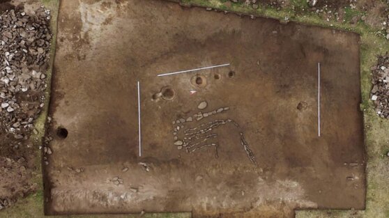 В Сибири нашли уникальный геоглиф в виде быка