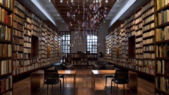 Начинающего террориста приговорили к чтению книг классиков