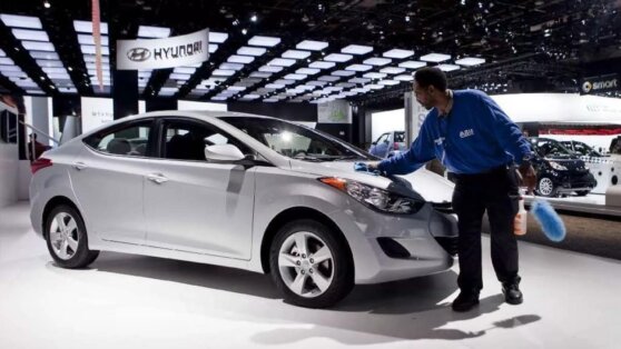 В Бразилии бездомный пес стал сотрудником автосалона Hyundai