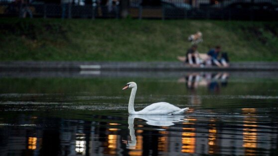 В Москве появились продавцы воздуха