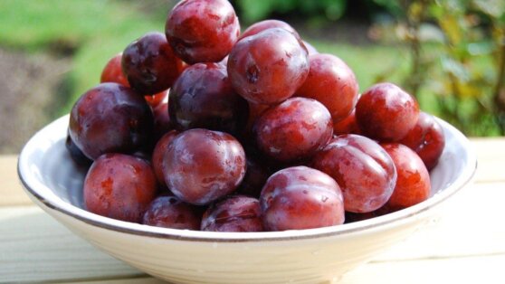 Популярный вкусный фрукт оказался еще и полезным