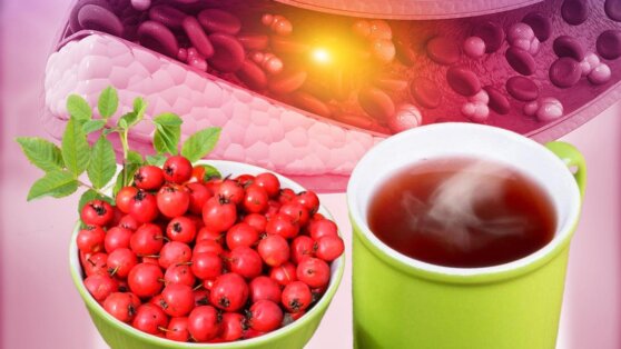 Раскрыта польза простого чая с популярной ягодой