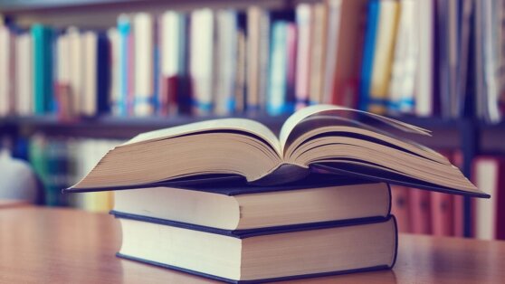 Писатель назвал лучшие книги года