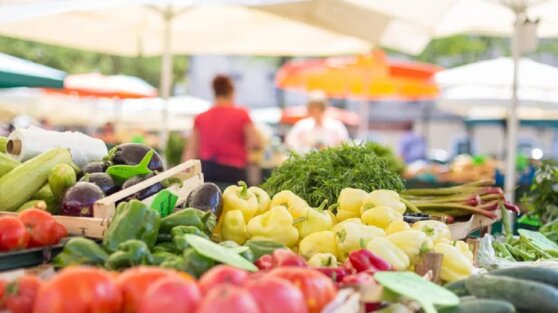 Лучшие продукты для укрепления иммунитета осенью назвали диетологи