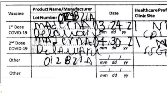 Туристка решила пробраться на курорт нелегально и попалась из-за неграмотности