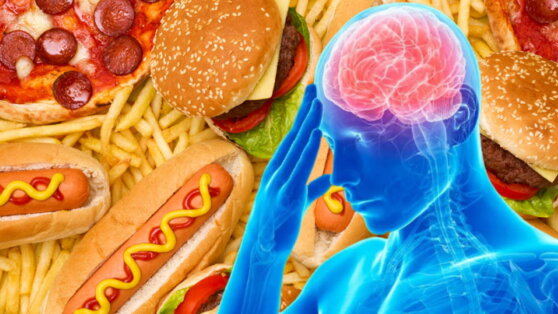 Исследование: жировые клетки снижают когнитивные функции мозга и приводят к нейродегенерации