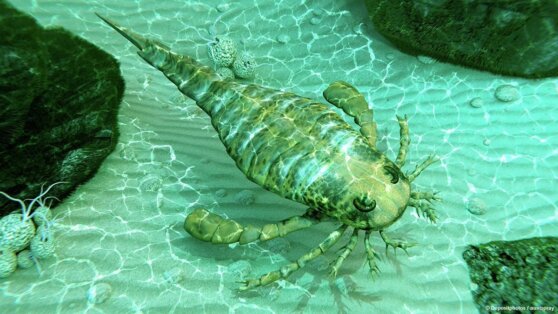Окаменелости «главного морского хищника» обнаружили в Китае