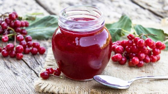 Желе из калины на зиму: как приготовить лакомство в банке