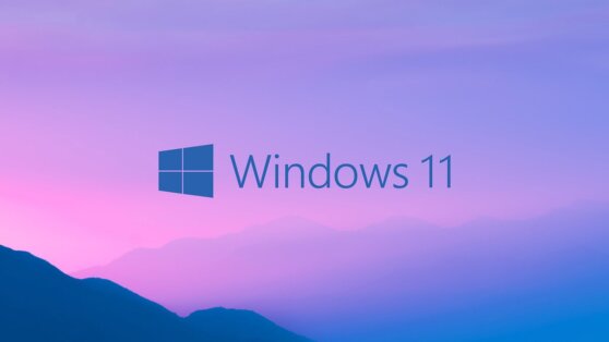 В новой Windows 11 обнаружилась забавная ошибка на ноутбуках