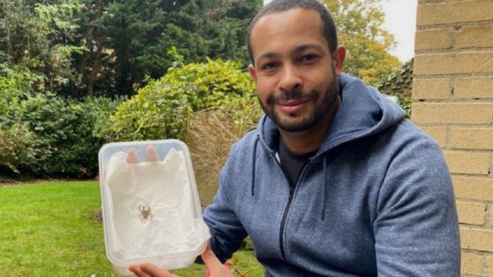 Мужчина решил позавтракать бананами и нашел в них самого ядовитого паука